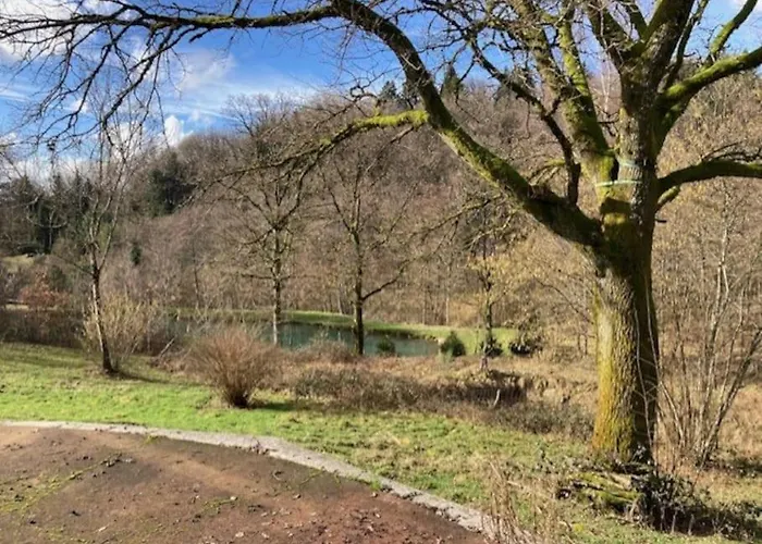 Le Du Sauvage * Le Clerjus